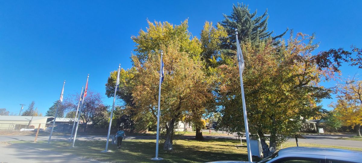 Flagpoles and trees