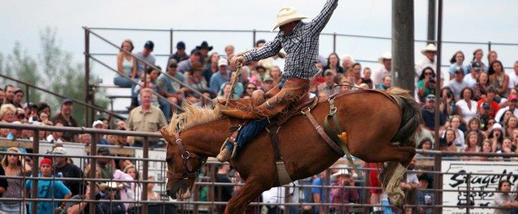 rodeo image